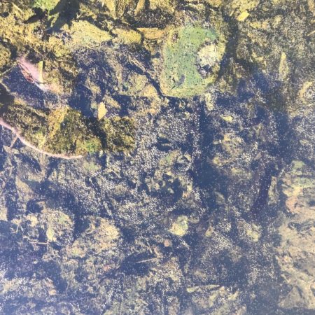 Mt Woodson Insights & Connect with Desalus - Food & Water Security: Desalus makes clean water and pure fertilizer from its zero-waste water treatment services offered to brackish water stewards including mines, municipalities and more. With a heart to address water and food security in regions with water challenges, Desalus operates powerful resource recovery systems including IChemE Award-winning ZIX-Zak ion-exchange and KNeW Process for over 99% water recovery with no brine or waste.